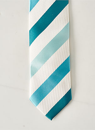 Cravate bleu JUPITER pour homme